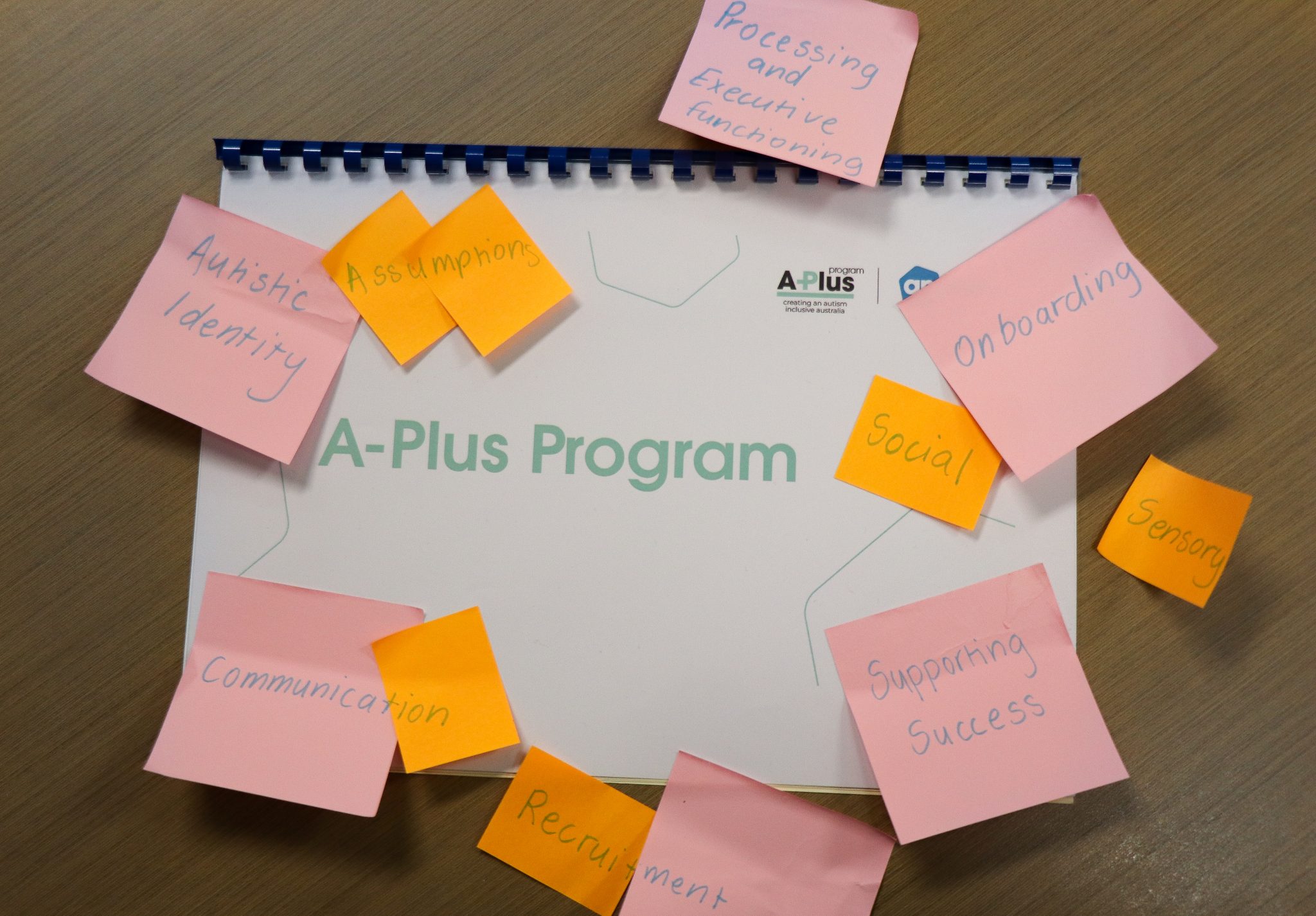 A-Plus Inclusion Program - Amaze